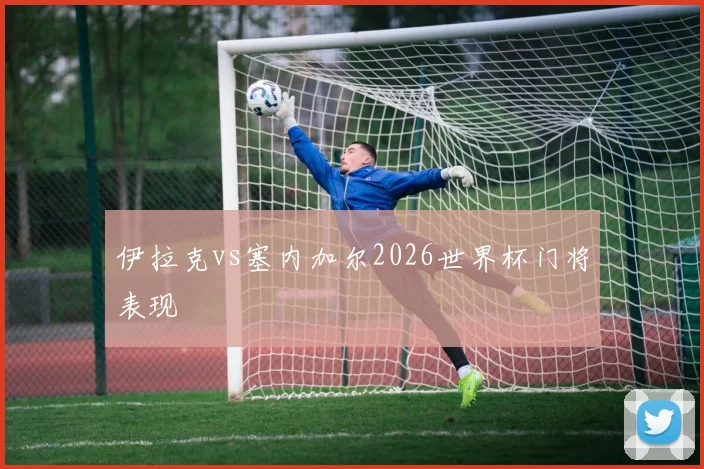 伊拉克vs塞内加尔2026世界杯门将表现