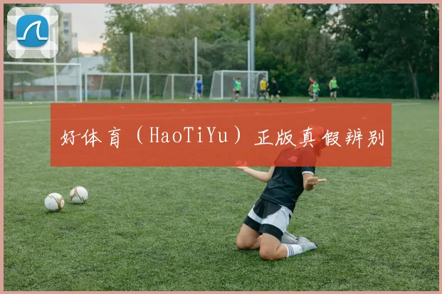 好体育（HaoTiYu）正版真假辨别