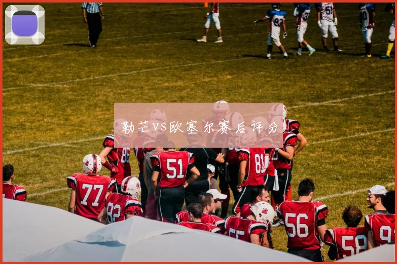 勒芒vs欧塞尔赛后评分