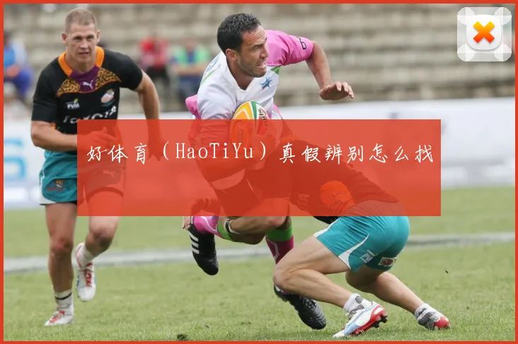 好体育（HaoTiYu）真假辨别怎么找