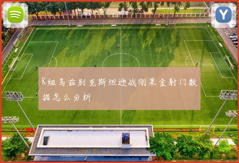 K组乌兹别克斯坦迎战刚果金射门数据怎么分析