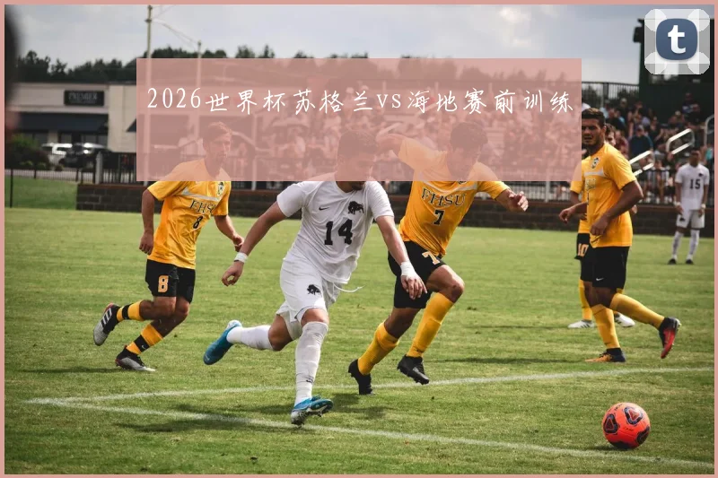 2026世界杯苏格兰vs海地赛前训练